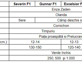 Severin F1 (Olanda) seminţe de castraveţi / Семена огурца (Голландия) foto 5