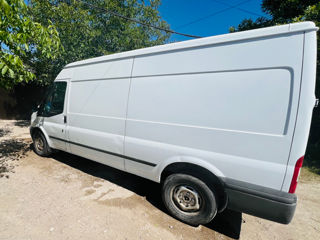 Ford Transit foto 4