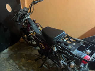 Alpha Moto DX-50