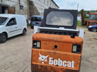 Bobcat ! foto 2
