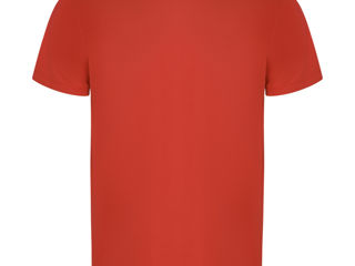 Tricou bărbați IMOLA - roșu / Мужская спортивная футболка IMOLA - красная foto 3