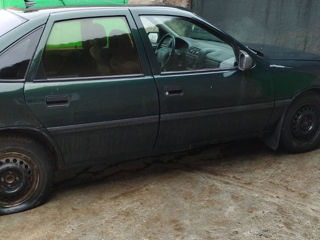 Volkswagen Passat foto 6