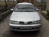 Nissan Primera foto 1