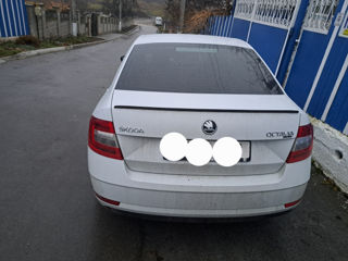 Skoda Octavia foto 2