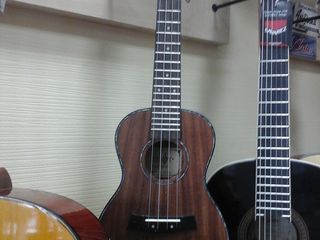 Ukulele . Gitarlele. Modele soprano, concerto. Mag. Promusic. Modele 2024 foto 3