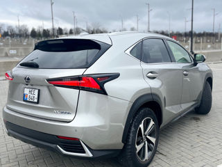 Lexus NX Series foto 5