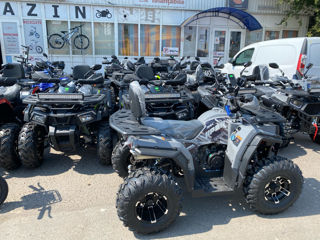 Viper 250 NEW foto 2