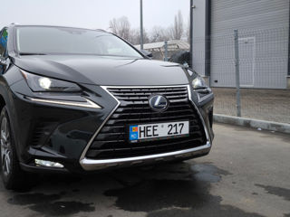 Lexus NX Series foto 5