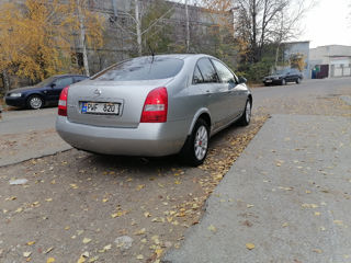 Nissan Primera foto 10