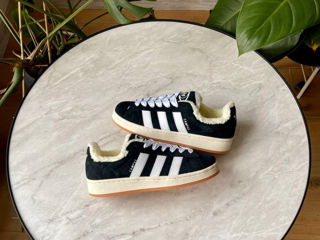 Adidas Campus Black cu blana / с мехом foto 5