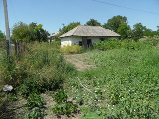 Выгодно продаем дом в г.Сынжерей (Лазовск). Срочно foto 6