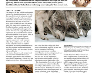 The Dog Encyclopedia: The Definitive Visual Guide (DK Pet Encyclopedias) foto 6