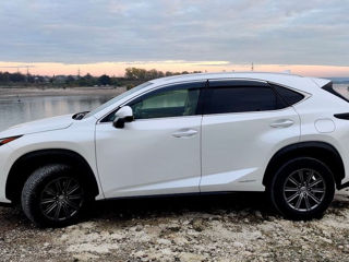 Lexus NX Series foto 5