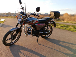 Alpha Moto RX NEW