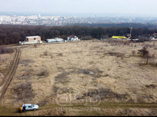 6,6 ari Poiana Domnească cu Certificat de Urbanism foto 4