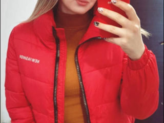 Jacheta roșie