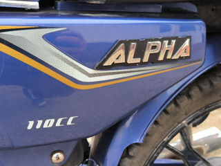 Alpha Moto foto 3