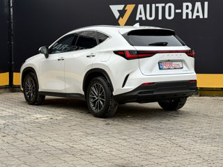 Lexus NX Series foto 8