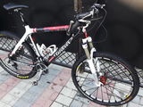 Wilier triestina solitario 650euro total carbon !!! foto 8