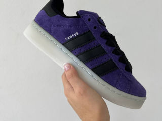 Adidas Campus Violet Women's