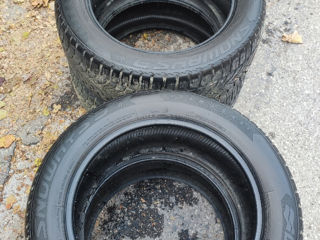 Lassa Snoways3 225/55 R17 foto 1