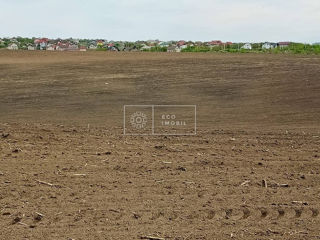 Vânzare, teren agricol, mun. Chișinău, com. Cruzești, 4.88 ha, 366900 euro foto 4