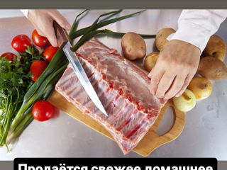 Продам свиное мясо 50 рублей 1 кг