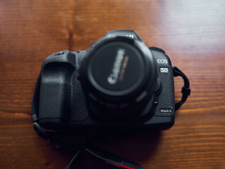 Canon 5D Mark || & canon EF50mm f1.4 foto 4