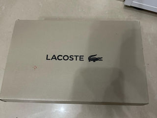 Ghete Lacoste