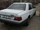 Mercedes Series (W124) foto 1