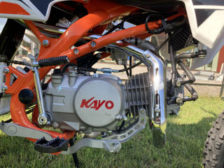 Kayo TT140/2024!!! foto 8