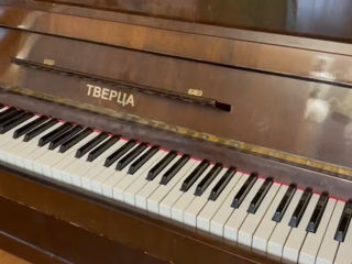 Пианино Тверца, Pian Tverța