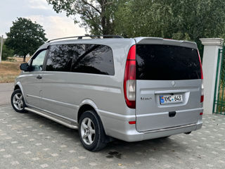 Mercedes Viano