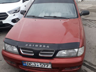 Nissan Primera foto 1