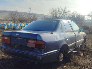 Nissan Primera foto 5