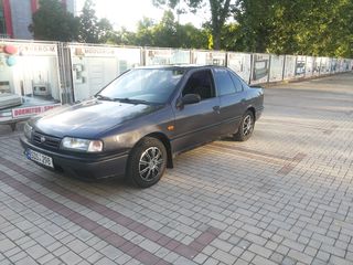 Nissan Primera foto 8