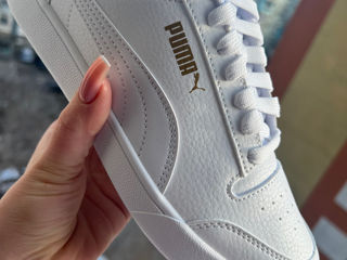 Puma originali