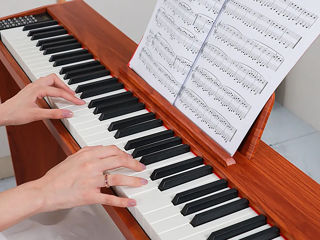 Цифровое пианино деревянное Divers D885 Wood Brown (Новые, Гарантия, Рассрочка. Бесплатная доставка) foto 14