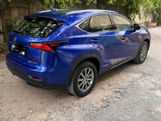 Lexus NX Series foto 3