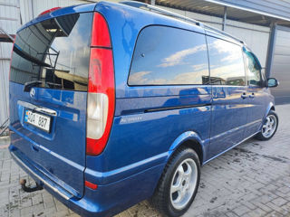 Mercedes Viano foto 6