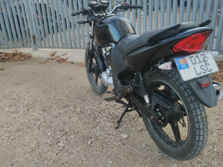 Motomax GT250 foto 4