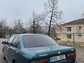 Nissan Primera foto 5