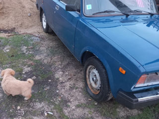 Lada / ВАЗ 2107 foto 4