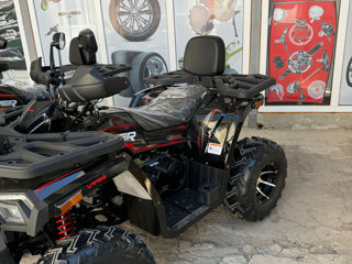 Viper 250 foto 2