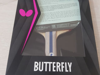 Butterflay  Maze Advance FL foto 1