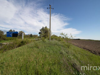 Se vinde teren agricol, Cricova, 397 ari! foto 8