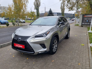 Lexus NX Series