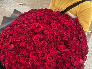 Розы по оптовой цене / 101 - 800 лей / Букеты на заказ. foto 9