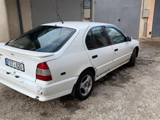 Nissan Primera foto 3