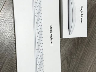 Magic Keyboard si Mouse